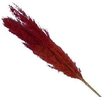 Pampasgras Two Tone Orange Rood 75 cm 5 stuks, Huis en Inrichting, Woonaccessoires | Kunstplanten en Kunstbloemen, Nieuw