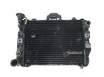 Honda VF 750 C MAGNA  1982-1984 V45 (RC07-RC09) 437V RADIATE, Ophalen of Verzenden, Gebruikt