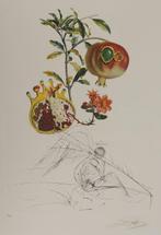 Salvador Dali (1904-1989) - Flordali, les Fruits : Grenade