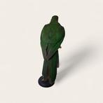 Australische koningsparkiet Taxidermie volledige montage -