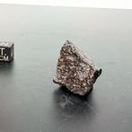 NWA 14933 Condrita Carbonácea CVred3, met CAIs (oudste stof