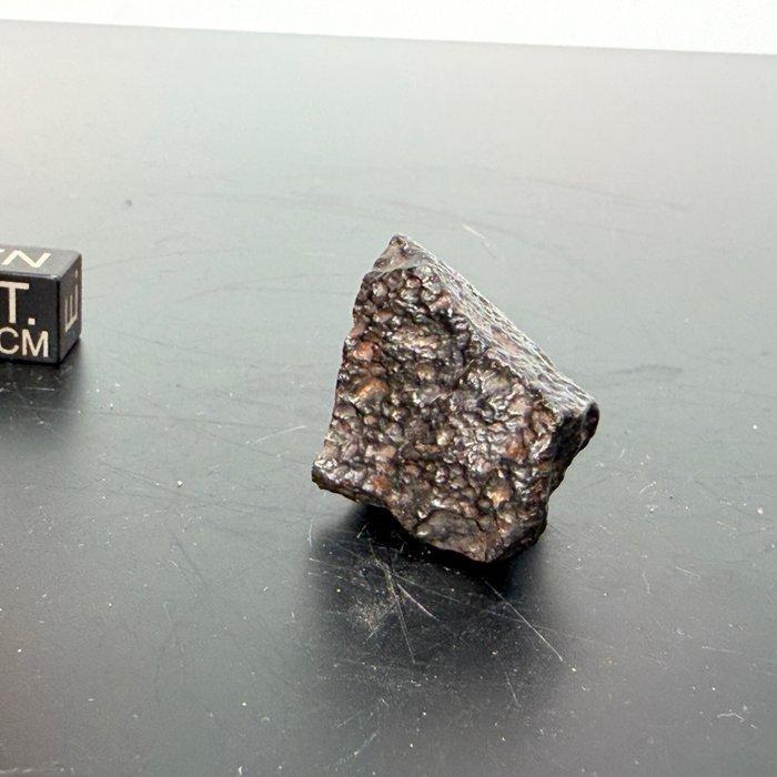 NWA 14933 Condrita Carbonácea CVred3, met CAIs (oudste stof, Verzamelen, Mineralen en Fossielen