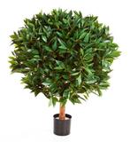 Kunstplant Laurier Bal 50 cm, Verzenden