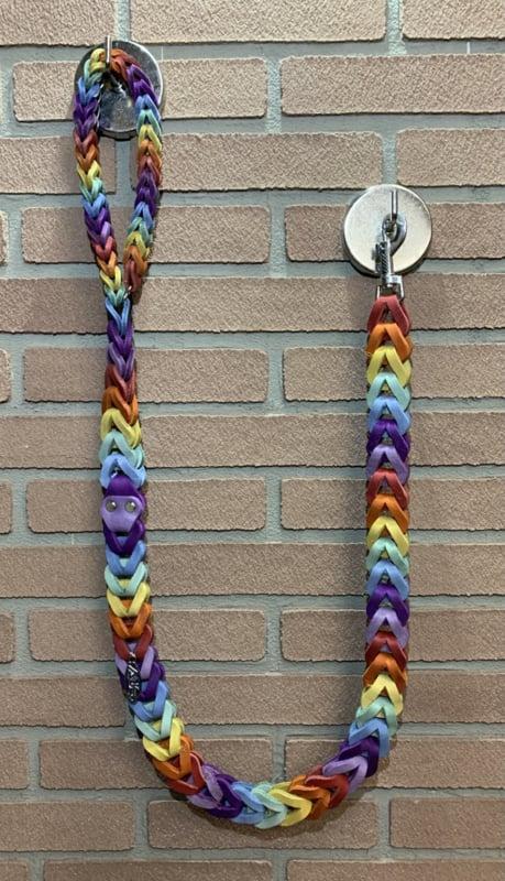 Lederen honden riem Rainbow, Autos : Pièces & Accessoires, Autres pièces automobiles, Enlèvement ou Envoi