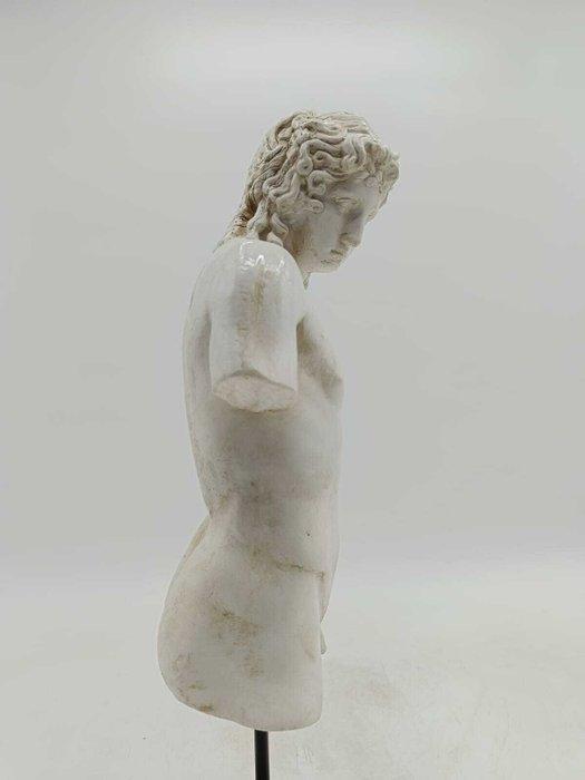 Sculpture, Torso di Eros - 47 cm - poudre de marbre, Antiek en Kunst, Curiosa en Brocante