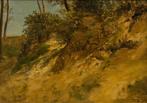 Willem Bastiaan Tholen (1860-1931) - Hollow in the dunes, Antiek en Kunst, Kunst | Schilderijen | Modern