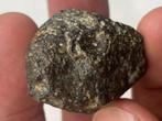 Chondrite NWA 869 - 32.1 g - (1)