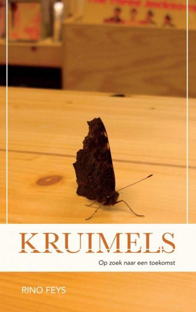 Kruimels 9789463678728 Rino Feys, Livres, Littérature, Envoi