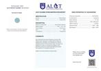Geen reserveprijs - ALGT-gecertificeerd - Exclusieve