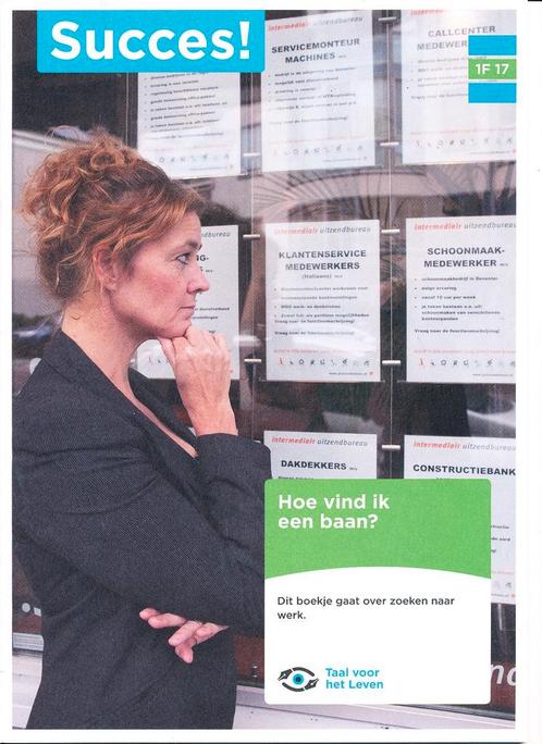 Succes! Werkboek IF 17, Boeken, Schoolboeken, Verzenden