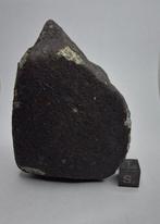 Meteoriet: El Menia L5, waargenomen in de herfst van 2023.