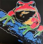 After Andy Warhol ( 1928 - 1987) - Frog, from: Endangered