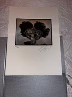 Karl Lagerfeld - The Glory of Water, Antiek en Kunst