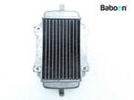 Radiateur Piaggio | Vespa GTS 125 2009-2016 IE (GTS 125