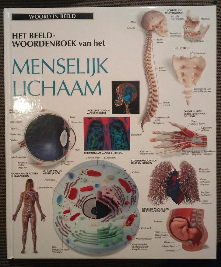 Beeldwoordenboek-menselyk lichaam 9789065905710 Auteur, Boeken, Woordenboeken, Zo goed als nieuw, Verzenden
