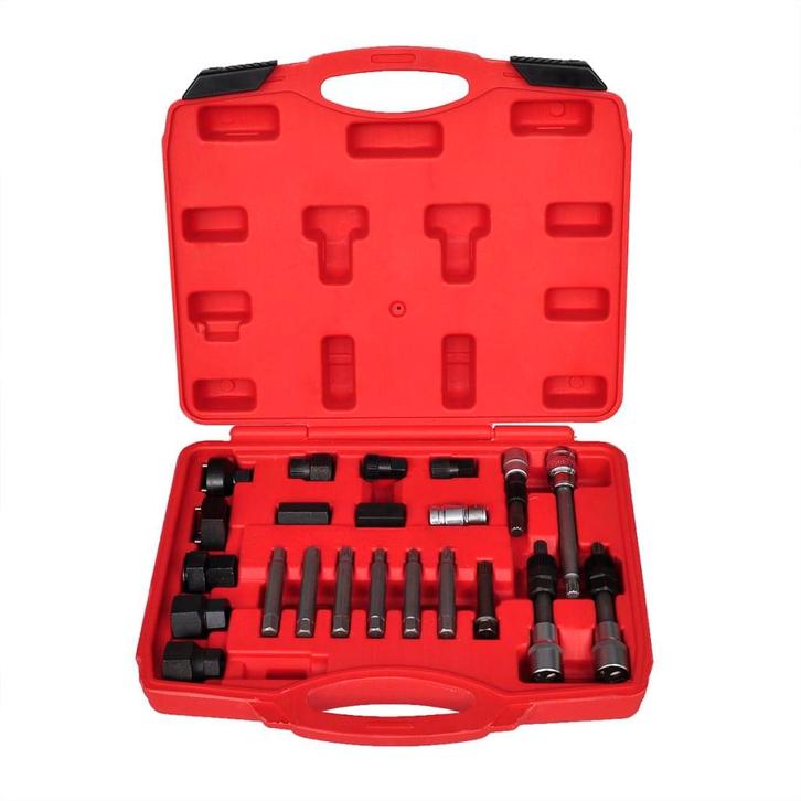vidaXL Alternator autogereedschapsset 22 st, Doe-het-zelf en Bouw, Gereedschap | Handgereedschap, Nieuw, Verzenden