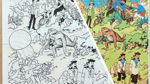 Tintin - Composition de bromures + ajout de traits à l, Boeken, Stripverhalen