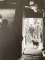 Robert Doisneau - Trépidante Wanda, Paris XIV