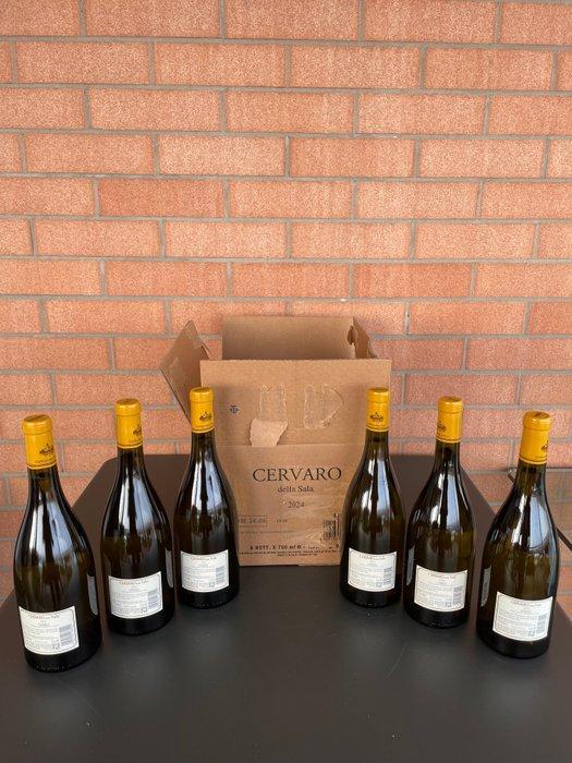 2024 Castello della Sala, Cervaro della Sala - Umbrië IGT -, Collections, Vins