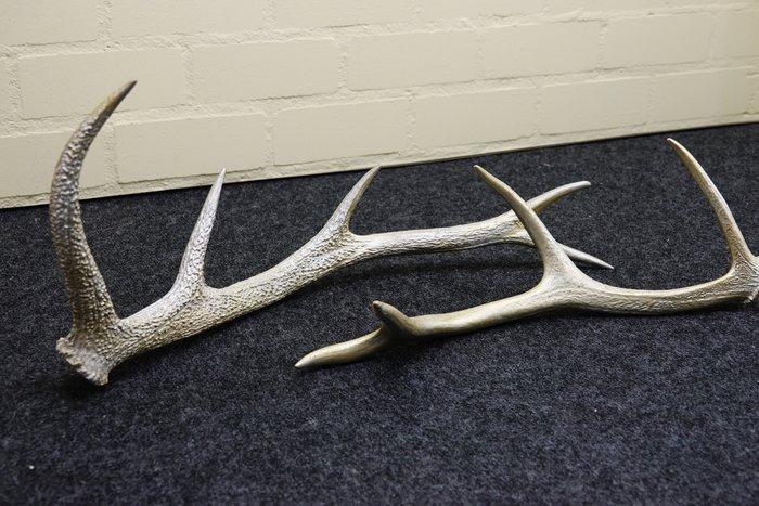 Red Deer Stag Antler set Schedel - Cervus elaphus - 0 cm -, Antiek en Kunst, Curiosa en Brocante