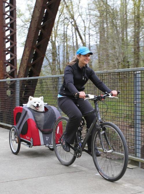 DoggyRide – Novel 20 hondenfietskar (alleen cabine), Animaux & Accessoires, Accessoires pour chiens, Enlèvement ou Envoi