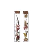 Reageerbuisjes glas 20cm. d.3cm. met kurk doos 6st pipet, Hobby en Vrije tijd, Nieuw