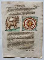 Conrad Lycosthenes - Prodigiorum ac Ostentorum Chronicon -