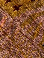 Nieuwe Marokkaanse Boujad Tapijt – Handgeweven Berber Wol, Nieuw