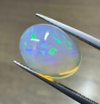 4,11ct Opale Cabochon- 0.82 g, Verzamelen