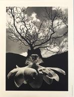 Jerry Uelsmann - Untitled, 1968, Antiek en Kunst, Kunst | Schilderijen | Modern
