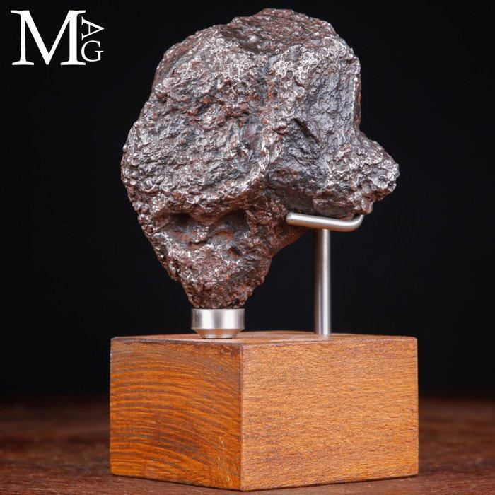Camp,o Del Cielo - Kern van een asteroïde Campo del Cielo, Antiek en Kunst, Curiosa en Brocante