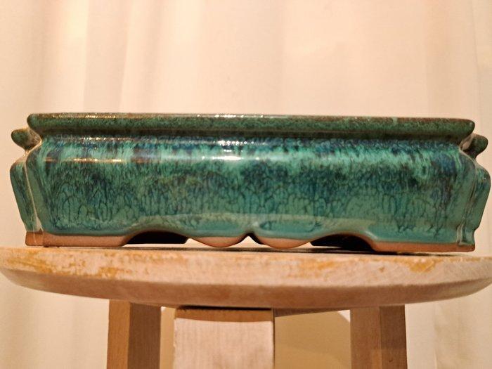 Bonsai schaal - 21,5 cm x 16,5 cm x 5,5 cm - groen, Antiek en Kunst, Curiosa en Brocante