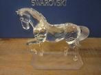 Swarovski - Figurine - Arabian Stallion 221609 - boxed with, Antiquités & Art