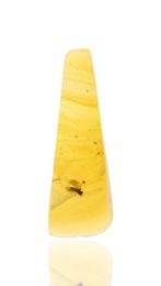 Birmese barnsteen - Fossiele cabochon - - Lot of 3 pieces,