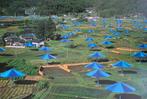 Christo & Jeanne-Claude (1935-2020) - Umbrellas Blau Nr. 14