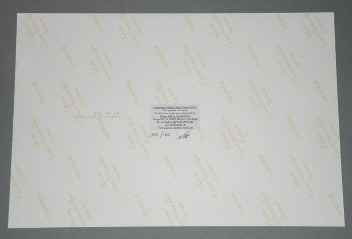 F. Seltier - The Beatles live on stage in Munich / Germany, Antiek en Kunst, Kunst | Designobjecten