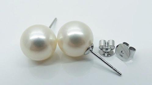 Zonder Minimumprijs - Oorstekers - 14 karaat Witgoud Parel -, Handtassen en Accessoires, Antieke sieraden