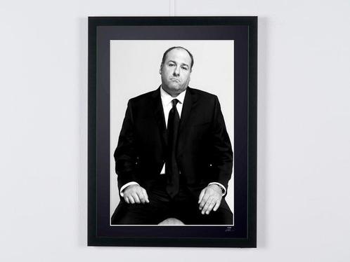 The Sopranos-James Gandolfini as « Tony Soprano » - Fine Art, Verzamelen, Film en Tv