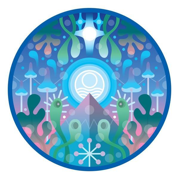 Seahawks - Deep Haul, CD & DVD, Vinyles | Pop, Envoi