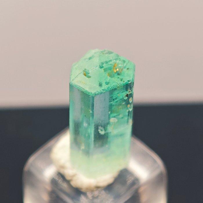 3,2 karaat TOP juweel-kwaliteit geplande Vanadium Smaragd, Collections, Minéraux & Fossiles