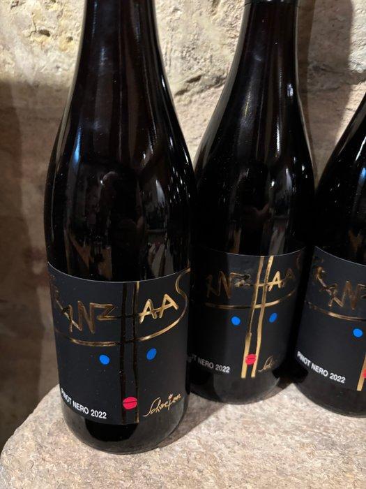 2022 Franz Haas Schweiger, Pinot Nero - Trentino Alto Adige, Verzamelen, Wijnen