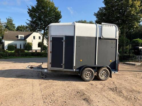 Veiling: Paardentrailer Ifor Williams HB505R1 2460kg 2001, Animaux & Accessoires, Chevaux & Poneys | Semi-remorques & Remorques