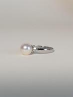 Ring Platina Parel - Diamant - Pt900, Nieuw