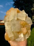 Apophyllite cubique géante et hypnotisante avec stilbite, Collections