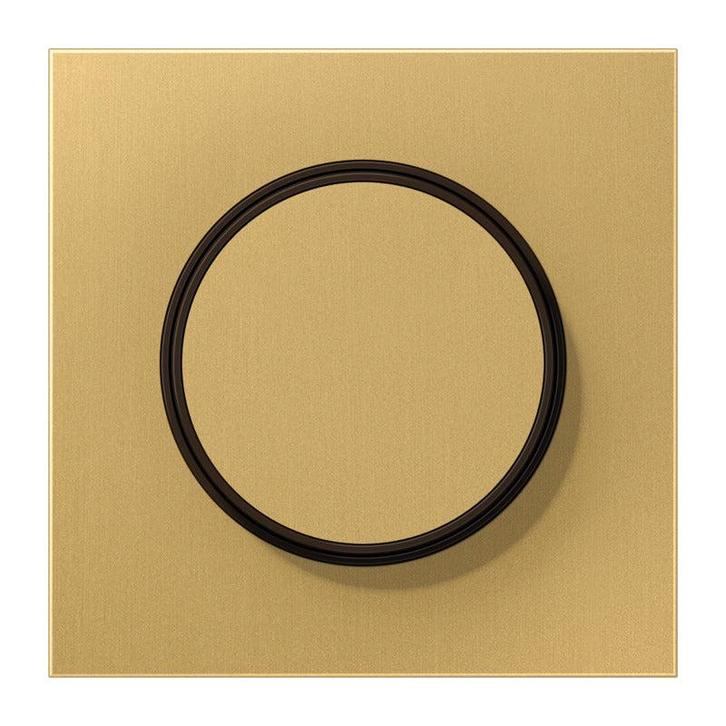 Jung LS Bereik Classic Messing Dimmer Afdekking Plaat -, Doe-het-zelf en Bouw, Elektriciteit en Kabels, Verzenden