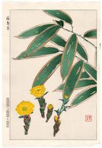 Adone Ramosa - serie: Calendario Floreale del Giappone -