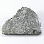 Aletai IJzer meteoriet - 73.6 g