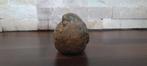 Pierre Chenet (XX-XXI) - sculptuur, LOiseau se reposant - 6