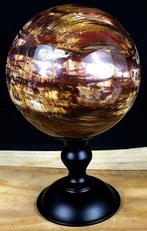 Versteend Hout / Petrified wood / Bal / - Hoogte: 12.73 cm -