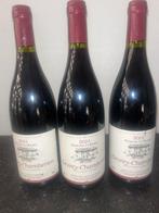 2004 Domaine La Ramée - Gevrey Chambertin - 3 Bouteilles, Verzamelen, Wijnen, Nieuw